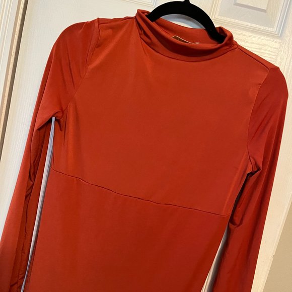 Rust Turtleneck with Slit Maternity Dress by Anyuta Couture - Picture 4 of 9